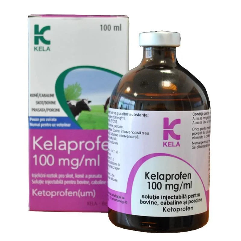 KELAPROFEN // kétoprofène // pour chevaux et bovins