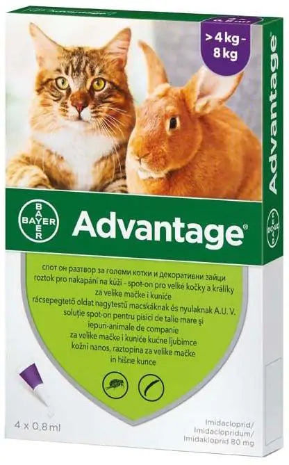 ADVANTAGE SPOT ON CATS / RABBITS // imidacloprid 40mg // gatti e conigli