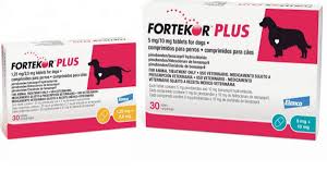 FORTEKOR PLUS 30 cp for Dogs // Benzepril + Pimobendan