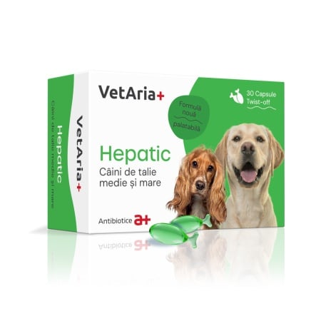 VetAria HEPATIC 30TAB Twist-Off - nutraceutical supplement for liver support in dogs and cats //