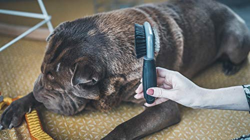 VETOCANIS - Spazzola da toelettatura per Cani - Pet Shop Luna