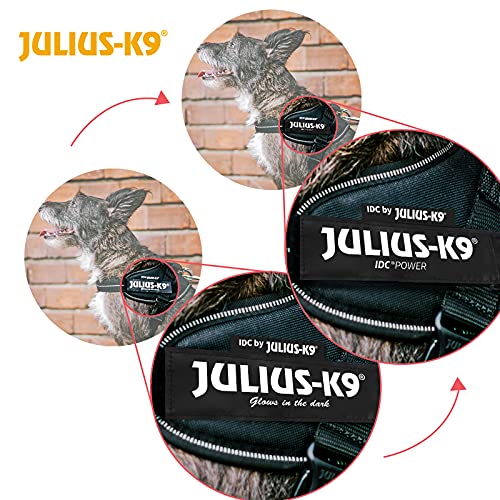 Julius k9 power top harness size 0