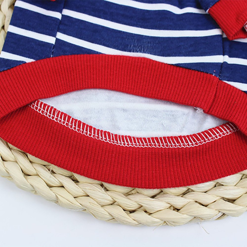 Vanogel Camphorated tube 150 ml for external use - Pet Shop Luna