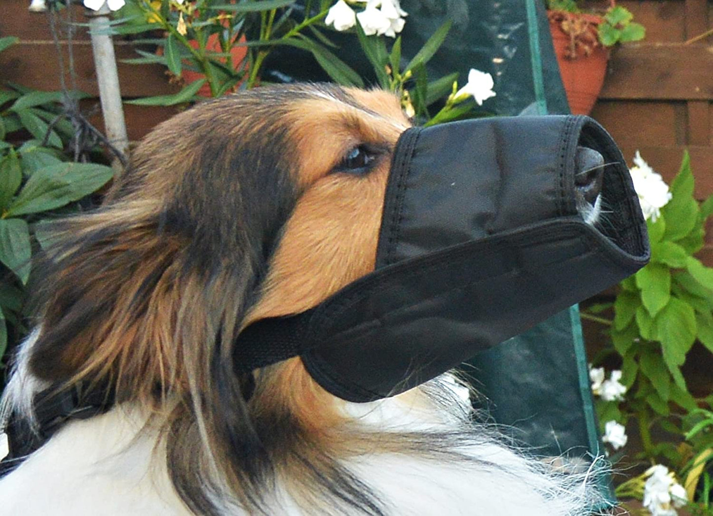 Record Museruola in nylon, con doppia regolazione, Large. - Pet Shop Luna