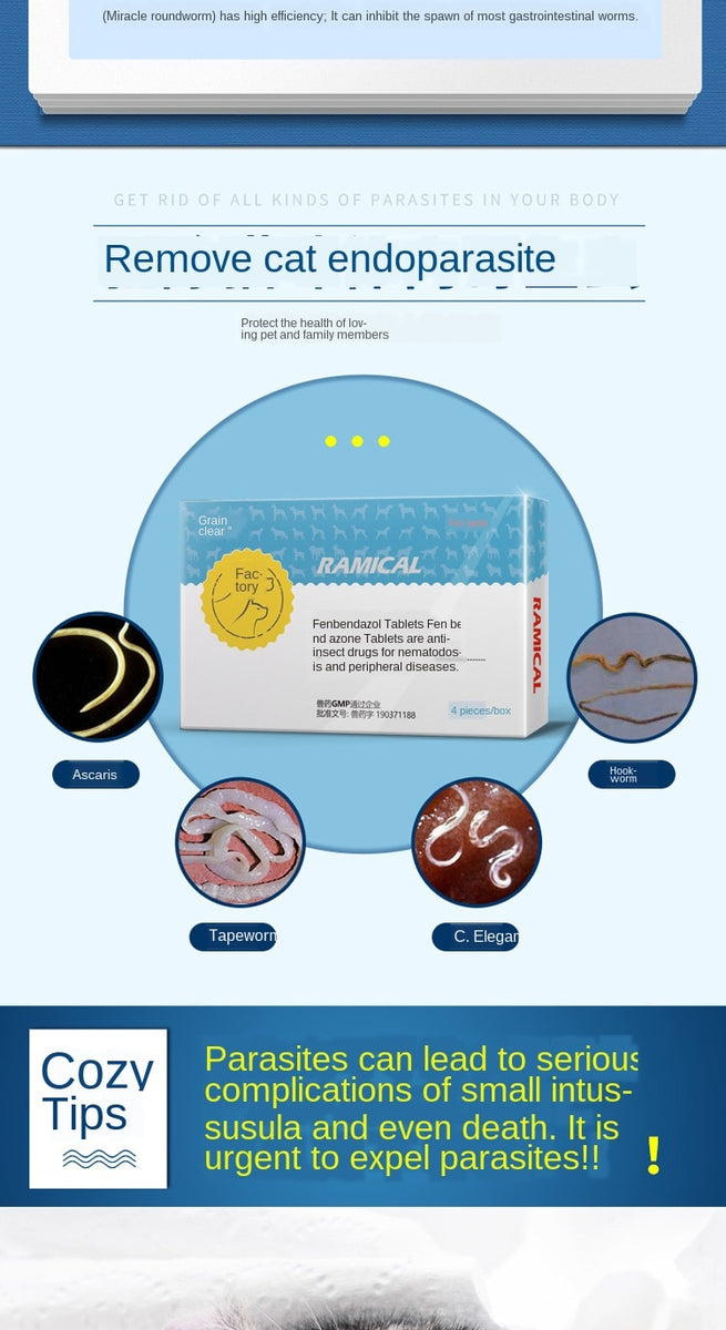 Fenbendazole Tablets For Cat / Dog Kill Schistosome Cysticercus Tapewo