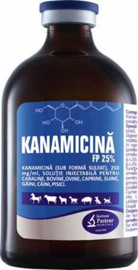 Kanamicina FP 25% 100 ml// Cavalli, bovini, pecore, capre, suini, uccelli (polli), cani e gatti // Horses, cattle, sheep, goats, pigs, birds (chickens), dogs and cats