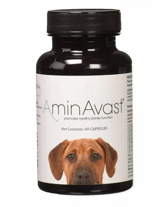 AminAvast Dog 1000 mg – 60 capsules