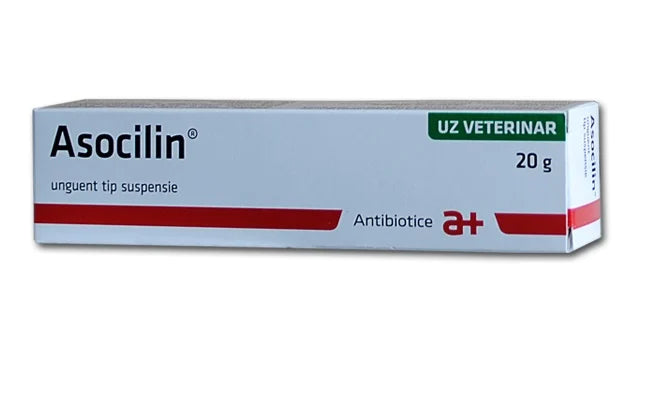 ASOCILIN 20G - OINTMENT FOR VETERINARY USE // streptomycin 2.0 g // Cattle, dogs, cats / Bovini, cani, gatti