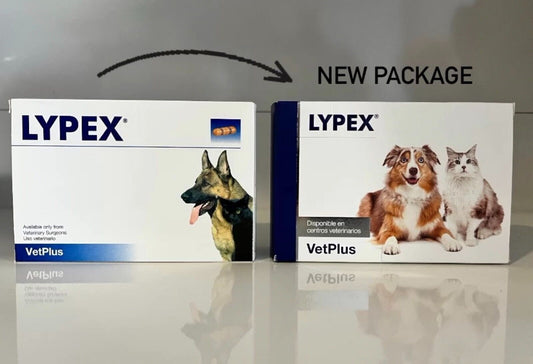 Lypex 60 tablets for dogs and cats