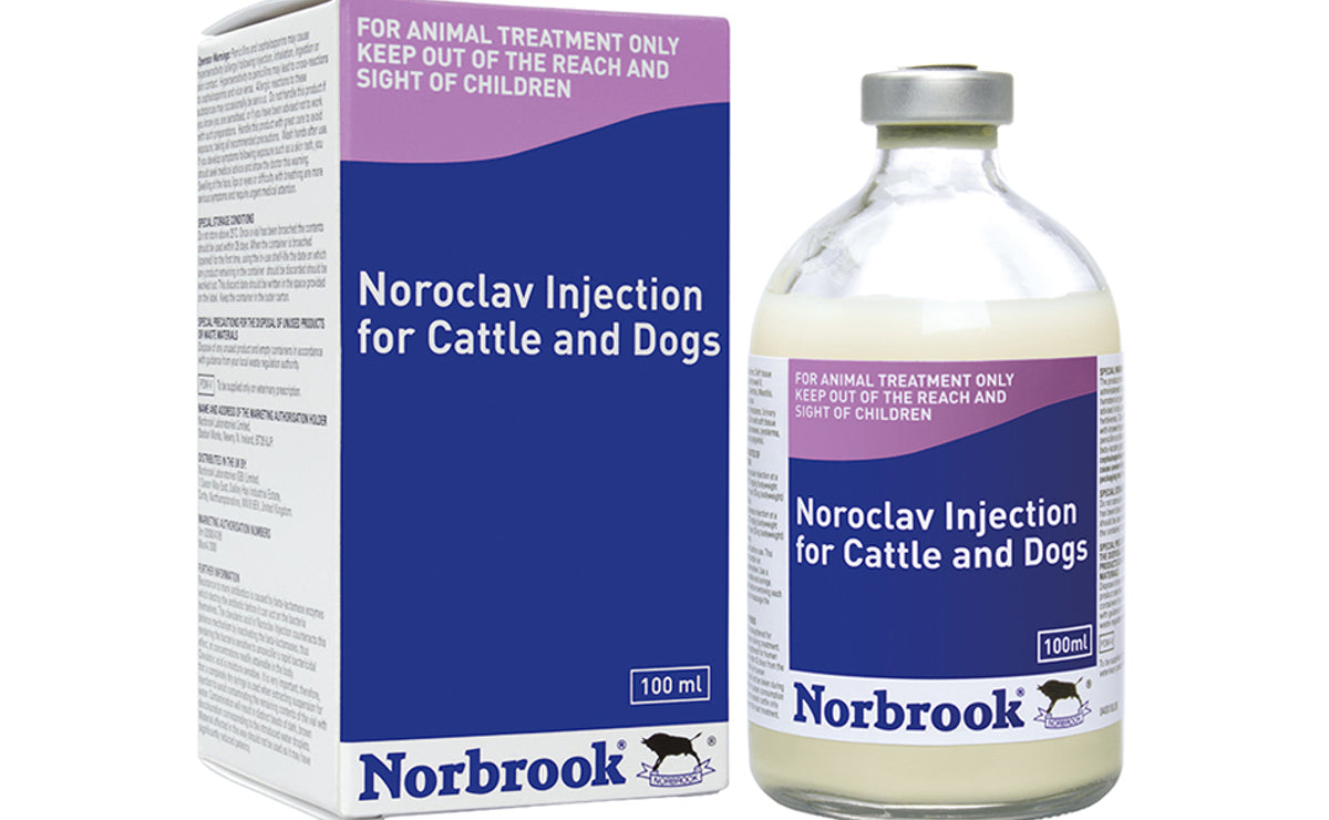 NOROCLAV 100 ML INJ // AMOXYCILIN 140MG/ML // CLAVULANIC ACID 35MG/ML - cattle, dogs and cats