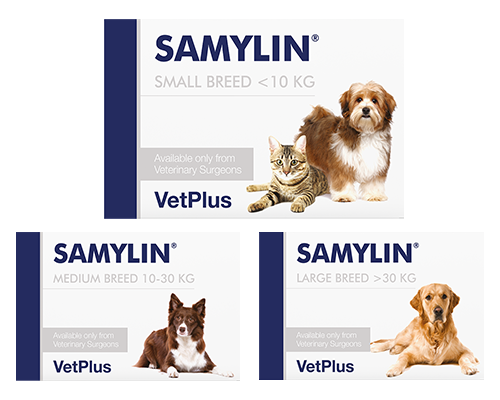 Samylin toutes races 30 comprimés Complément nutraceutique pour chiens et chats qui aide à maintenir la santé du foie