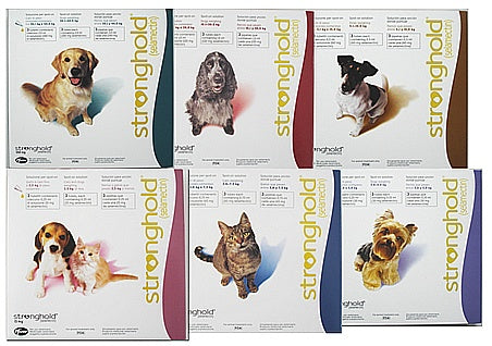 Stronghold for dogs cats 3 pipette dewormer and external antiparasitic / Vermifugo e antiparassitario esterno per cani e gatti 3 pipette