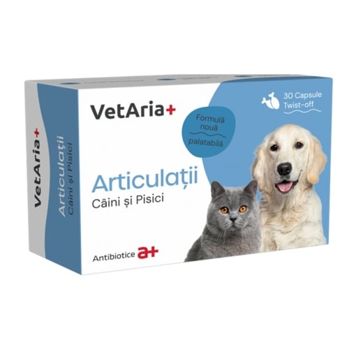 VetAria+ JOINTS - chicken-flavored 30 soft capsules for dogs and cats // condroprotettore riduce l'infiammazione rigeneratore articolare cani e gatti