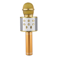 Portable Wireless Karaoke Microphone- USB Charging - Pet Shop Luna