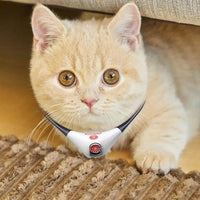 Interactive Pet Laser Toy Adjustable Wearable Electric Cat Laser Collar-USB Rechargeable_9
