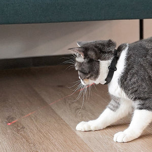 Interactive Pet Laser Toy Adjustable Wearable Electric Cat Laser Collar-USB Rechargeable_5