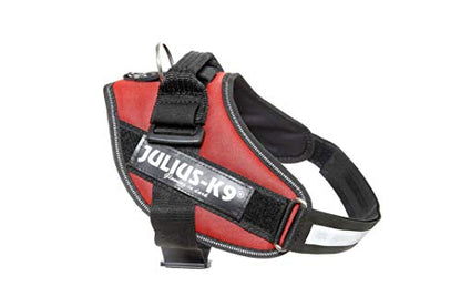 Julius k9 IDC and Powair harnesses for dogs / pettorina per cani - Pet Shop Luna