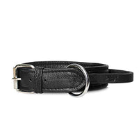 Julius-K9 40082-50 Eco Leather Collar with Adjustable Handle - Pet Shop Luna