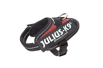 Julius k9 IDC and Powair harnesses for dogs / pettorina per cani - Pet Shop Luna