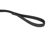 Color & Gray Super-Grip Leash with Handle, and D-Ring, 0.79 in x 6.56 ft, Black-Gray - Pet Shop Luna
