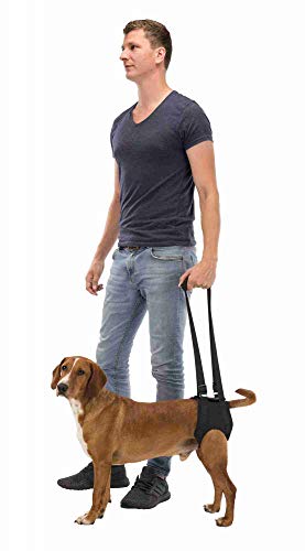 Trixie Walking Aid, Large, 65-75 cm, Black - Pet Shop Luna