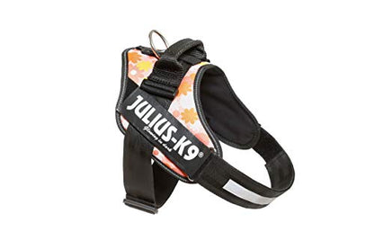 Julius-K9, 16IDC-PNF-1, IDC Powerharness, dog harness, Size: 1, Pink with flowers - Pet Shop Luna