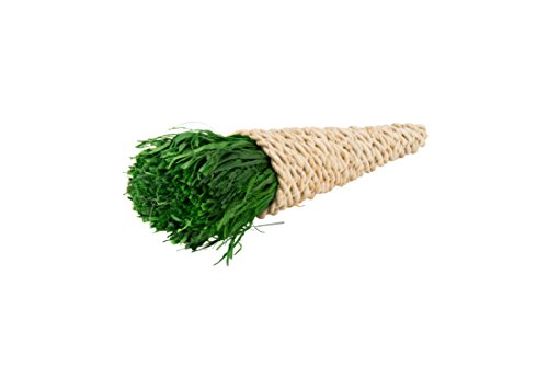 Aime Big Carrot Toy for Small Animals - Pet Shop Luna