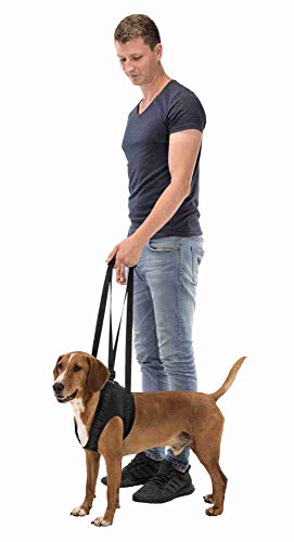 Trixie Walking Aid, Large, 65-75 cm, Black - Pet Shop Luna