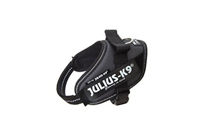 Julius k9 IDC and Powair harnesses for dogs / pettorina per cani - Pet Shop Luna