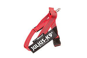 Julius-K9 16IDC-M-R-2015 IDC Color & Gray Belt Harness for Dogs, Size Mini, Red-Gray - Pet Shop Luna