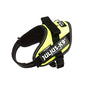 Julius k9 IDC and Powair harnesses for dogs / pettorina per cani - Pet Shop Luna