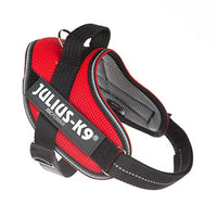 Julius-K9 Dog Harness, Red, S/Mini - Pet Shop Luna
