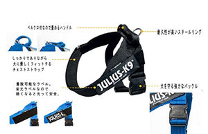 Julius-K9 IDC Innova Dog Comfort Black Belt Harness - Pet Shop Luna