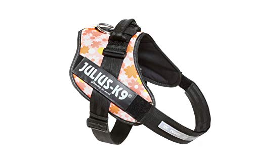 Julius-K9, 16IDC-PNF-3, IDC Powerharness, dog harness, Size: 3, Pink with flowers - Pet Shop Luna