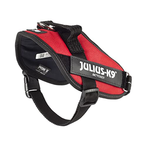 Julius-K9, 16IDC-R-M, IDC Powerharness, dog harness, Size: Mini, Red - Pet Shop Luna