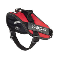 Julius-K9, 16IDC-R-M, IDC Powerharness, dog harness, Size: Mini, Red - Pet Shop Luna
