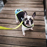 Julius-K9 Dog Vest - Pet Shop Luna
