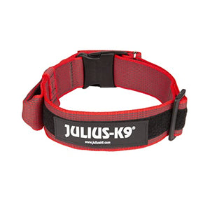 Julius-K9 Collare Color & Gray con manico richiudibile, chiusura di sicurezza ed adesivi intercambiabili, 50 mm (49-70 cm), Rosso-Grigio - Pet Shop Luna
