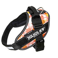 Julius k9 IDC and Powair harnesses for dogs / pettorina per cani - Pet Shop Luna