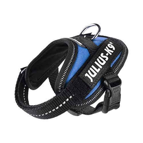 Julius k9 IDC and Powair harnesses for dogs / pettorina per cani - Pet Shop Luna