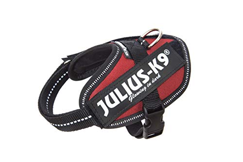 Julius k9 IDC and Powair harnesses for dogs / pettorina per cani - Pet Shop Luna