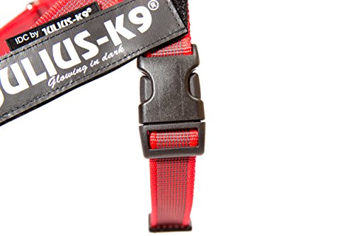 Julius-K9 16IDC-M-R-2015 IDC Color & Gray Belt Harness for Dogs, Size Mini, Red-Gray - Pet Shop Luna