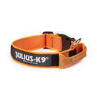 Julius k9 collars for dogs - Pet Shop Luna