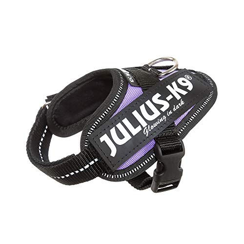 Julius k9 IDC and Powair harnesses for dogs / pettorina per cani - Pet Shop Luna