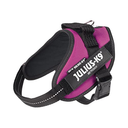 IDC Powerharness - Pet Shop Luna