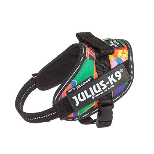 Julius-K9, 16IDC-REGGAE-MM, IDC Powerharness, dog harness, Size: Mini-Mini, Reggae Canis - Pet Shop Luna