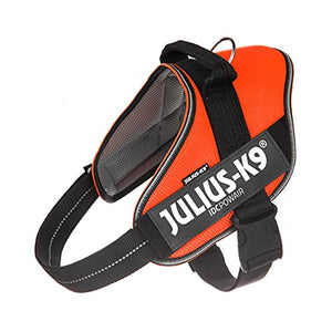 Julius-K9 Dog Harness, Orange, XL/2 - Pet Shop Luna