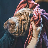 Vetocanis Sensitive Skin Hypoallergenic Shampoo for Dogs, 0.308 kg - Pet Shop Luna