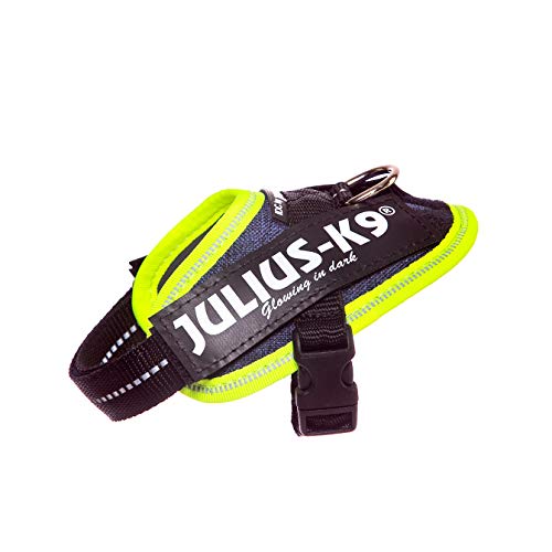 Julius-K9, 16IDC-FARNE-B1, IDC Powerharness, dog harness, Size: Baby 1, Jeans with neon edge - Pet Shop Luna