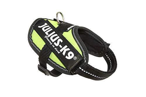 Julius k9 IDC and Powair harnesses for dogs / pettorina per cani - Pet Shop Luna